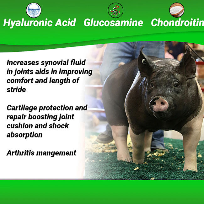 OptiWize Collagen Plus for Livestock image number null