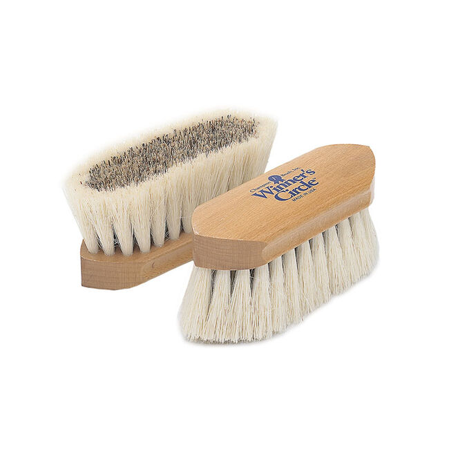 Champion 6-1/4" Dandy Brush with Union Center and Tampico Border image number null