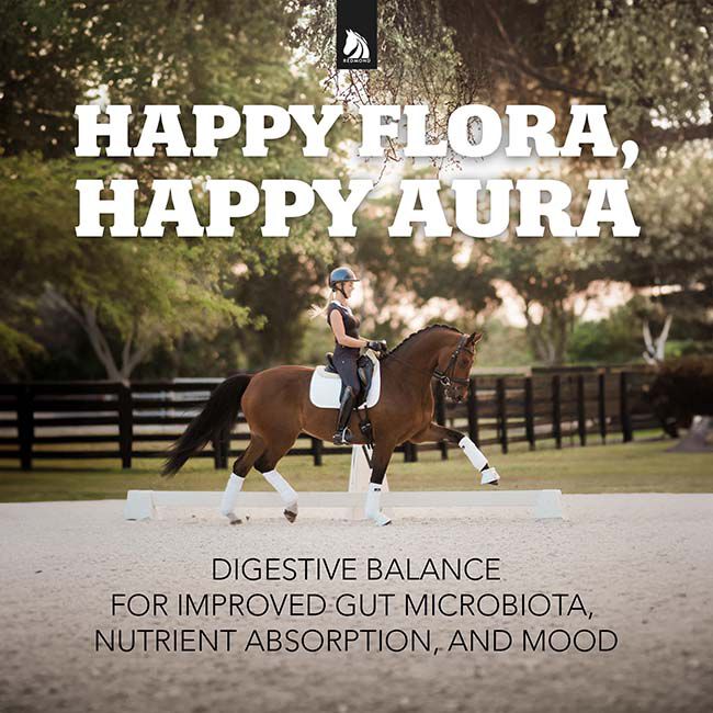Redmond Equine Daily Gold Stress Relief - All Natural Digestive Support image number null