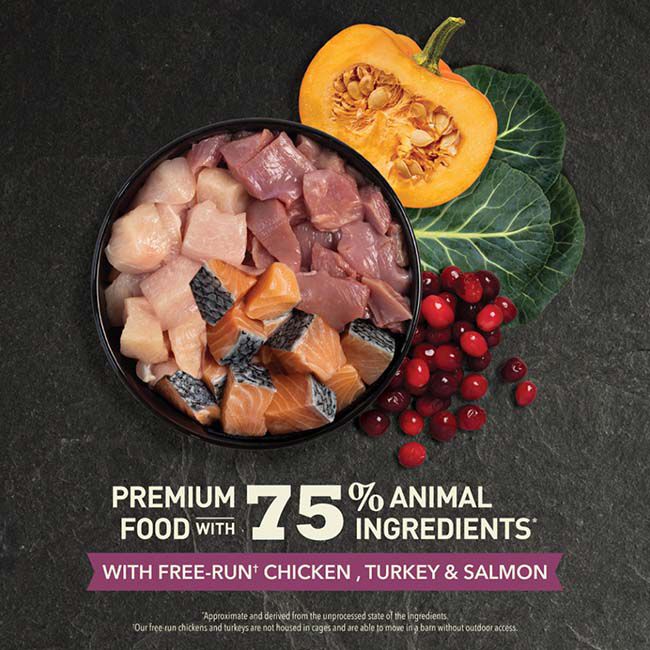 ACANA Highest Protein Kitten Food - Free-Run Chicken, Turkey, and Salmon Recipe image number null