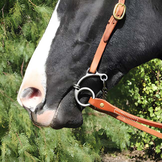 Professional's Choice Route 66 Smooth Snaffle Bit image number null