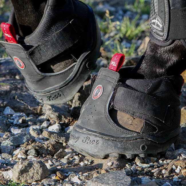 Equine Fusion Trekking Jogging Shoe Hoof Boot - Single image number null