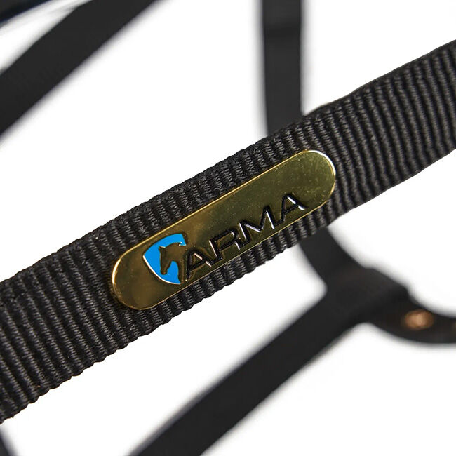 Shires Fleece-Lined Lunge Cavesson - Black image number null