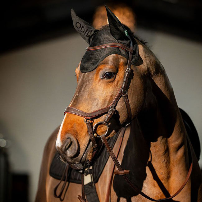 Horseware Amigo Ear Net image number null