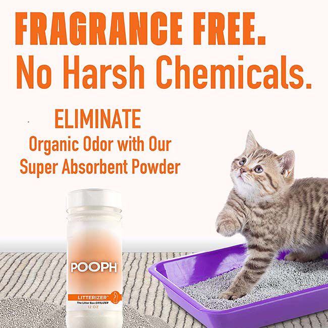 POOPH Litterizer - Kitty Litter Powder Odor Eliminator - 12 oz image number null