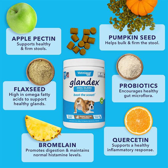 Glandex Anal Gland Supplement for Dogs with Pumpkin - Peanut Butter image number null