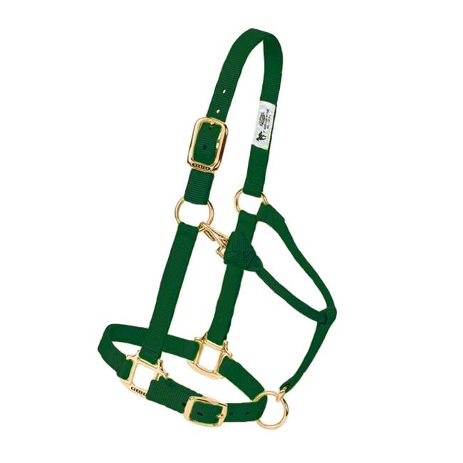 Weaver Adjustable Nylon Halter - Hunter Green image number null