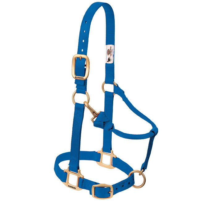 Weaver Adjustable Nylon Halter - Blue image number null