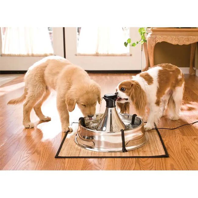 PetSafe Drinkwell 360 Stainless Multi-Pet Fountain image number null