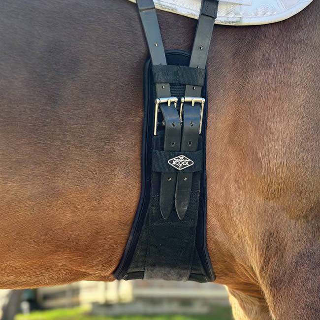 Professional's Choice 2XCool Dressage Girth image number null
