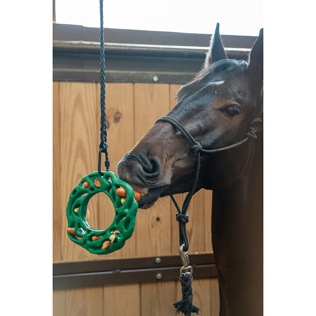 PetKORE Luna Ring Horse Toy image number null