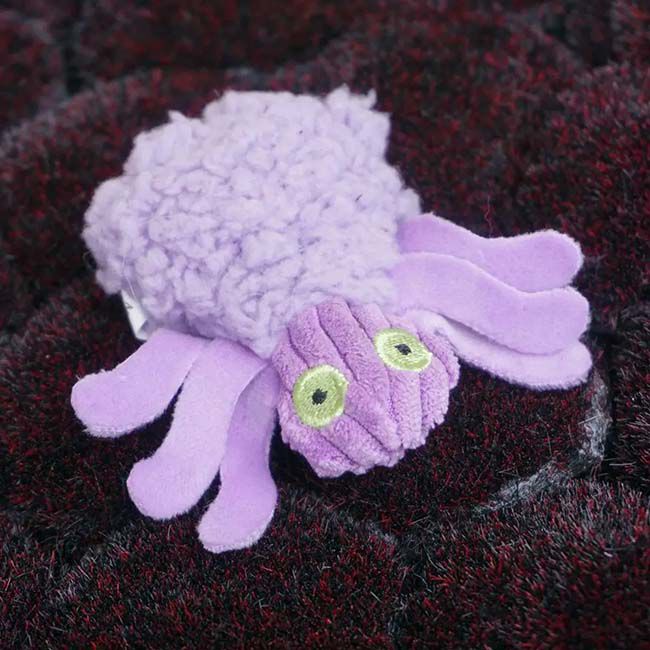 HuggleHounds HuggleKats Wee Willow Spider Cat Toy image number null