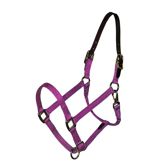 Triple E 3/4" Breakaway Adjustable Nylon Foal Halter image number null