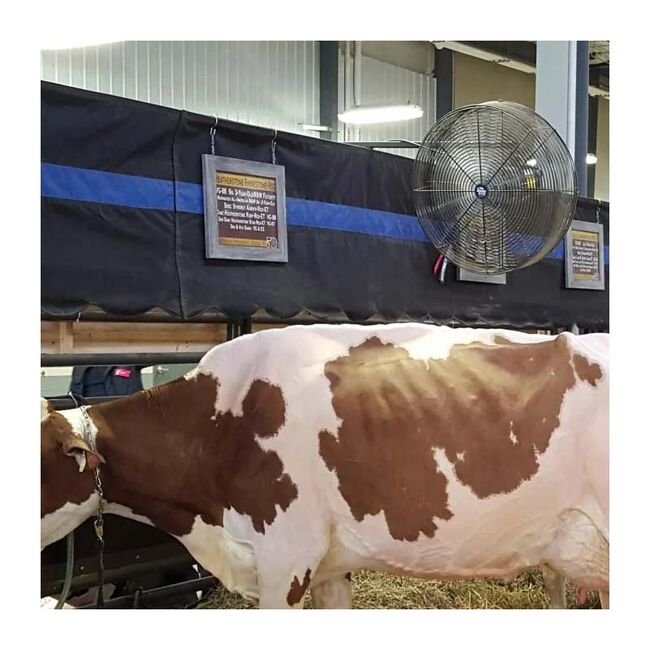 Schaefer F5-24 Versa-Kool 24" High Velocity Livestock Circulation Fan image number null