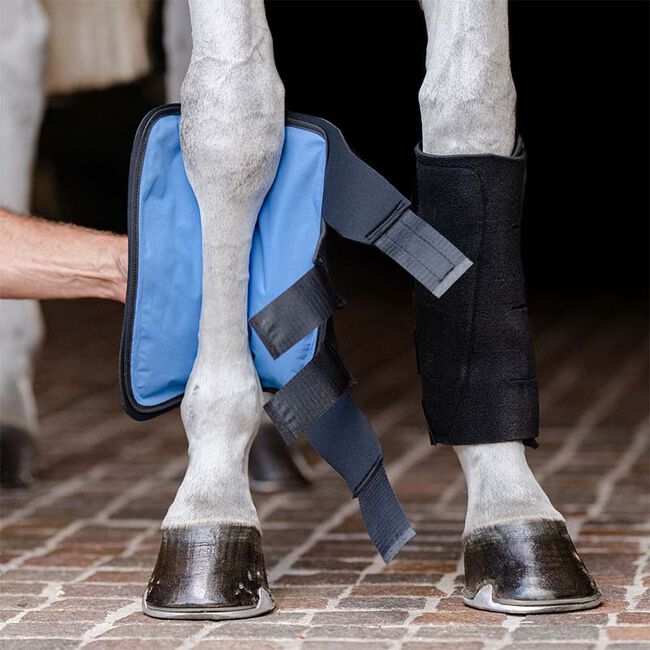 EquiFit Essential Cold Therapy Tendon Boot image number null