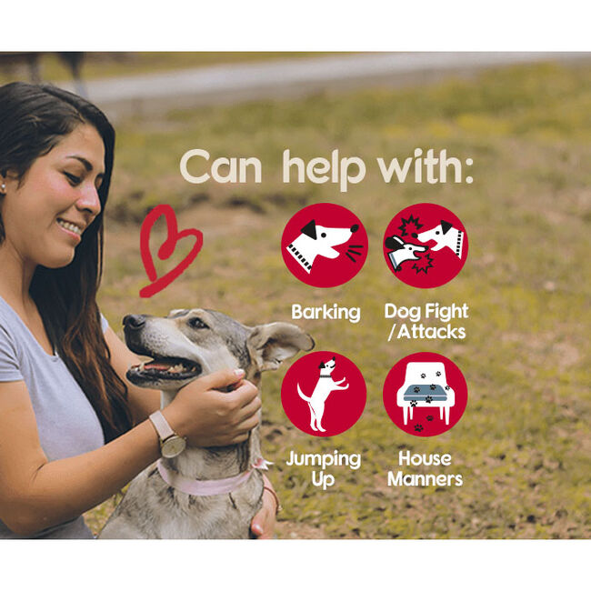 Company of Animals Pet Corrector image number null