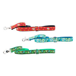 2 Hounds Design 5ft Essential Dog Leash