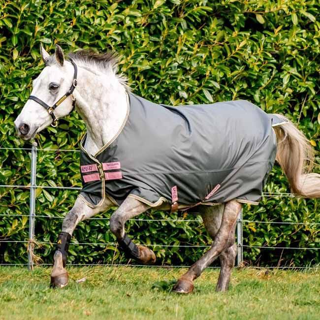 Horseware Amigo Hero Ripstop Turnout (0g Light) - Shadow/Rose & Navy - Closeout image number null