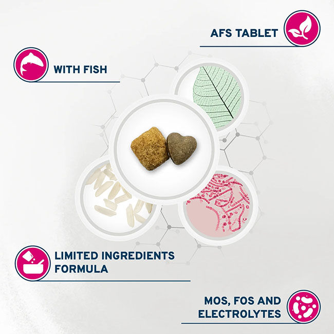 Forza10 Nutraceutic Active Dog Food - Intestinal Support Diet image number null