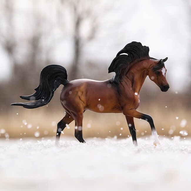 Breyer Mahogany Bay Arabian image number null