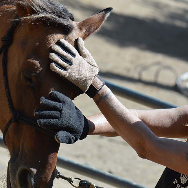 HandsOn Finishing Gloves image number null