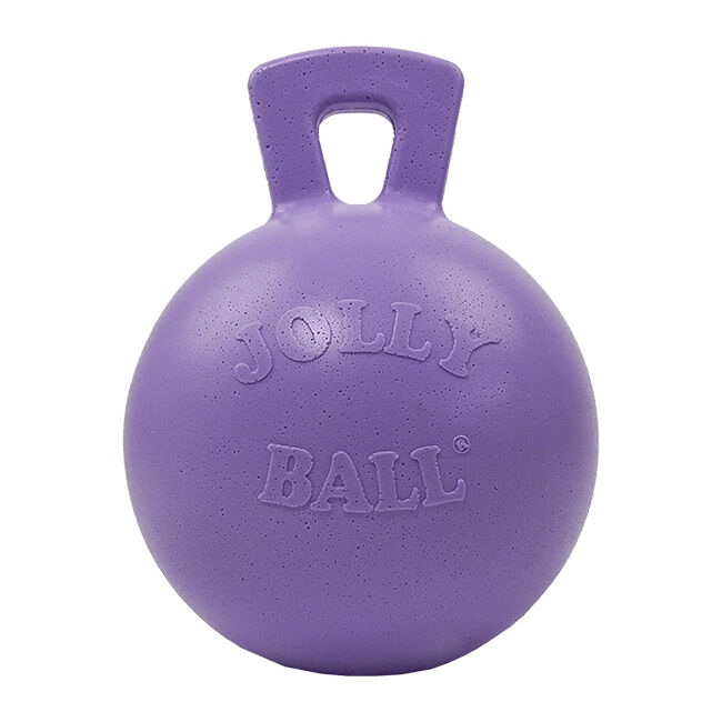 Jolly Pets Tug-N-Toss Dog Toy image number null