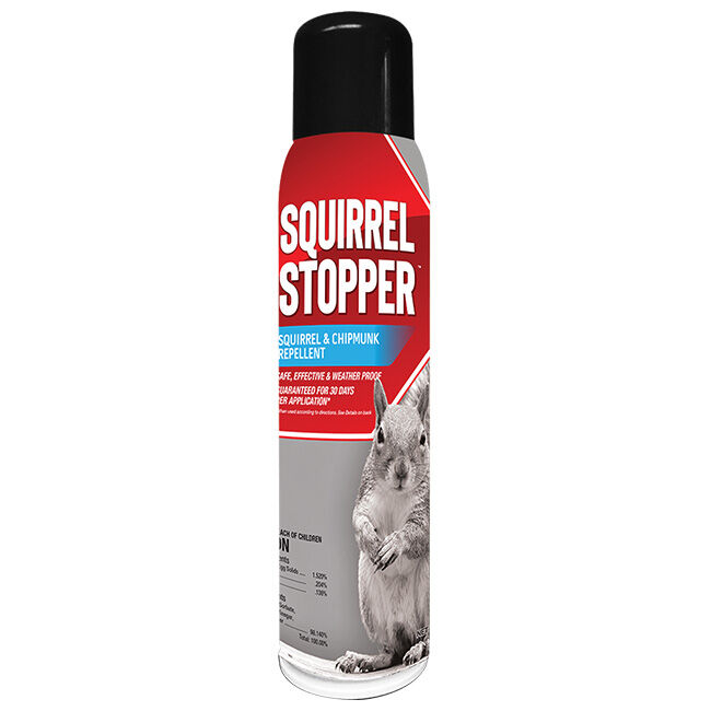 Messinas Squirrel Stopper - Squirrel & Chipmunk Repellent - 15 oz Aerosol image number null