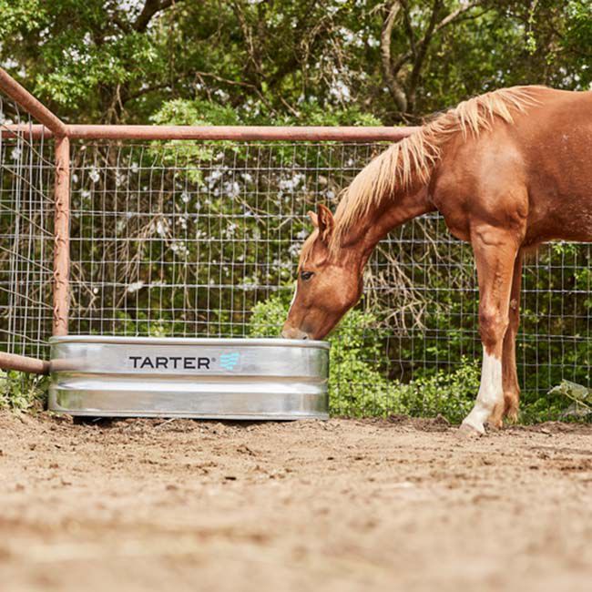 Tarter Oval Versa Stock Tank - 40-Gallon Capacity image number null