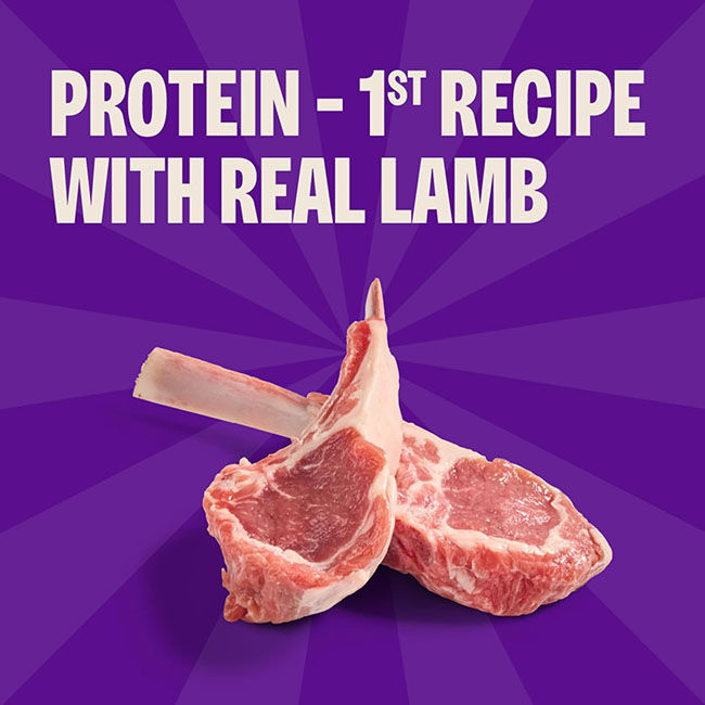 Wellness Soft Puppy Bites - Lamb & Salmon Recipe - 3 oz image number null