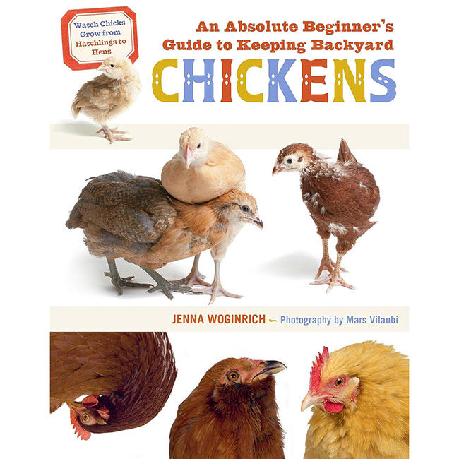 An Absolute Beginner's Guide to Keeping Backyard Chickens: Watch Chicks Grow from Hatchlings to Hens image number null