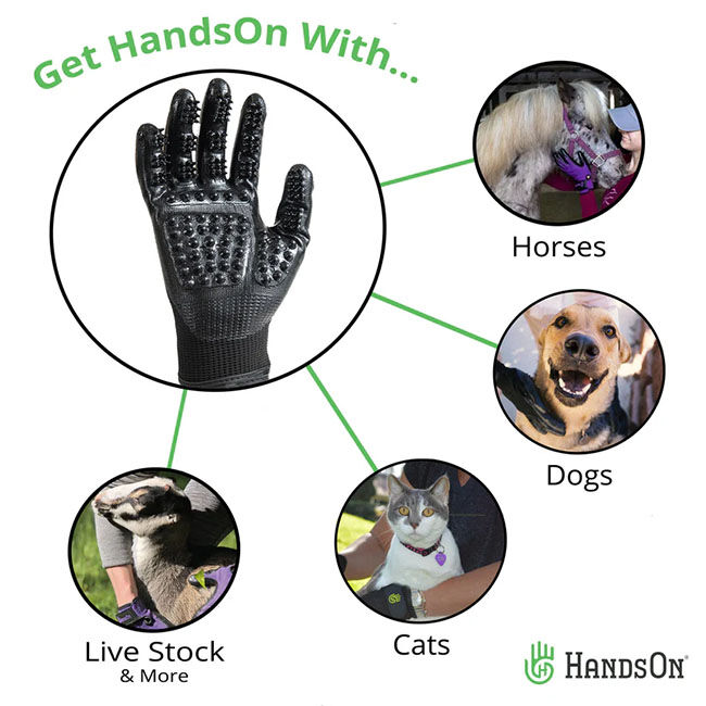 HandsOn Grooming Glove image number null