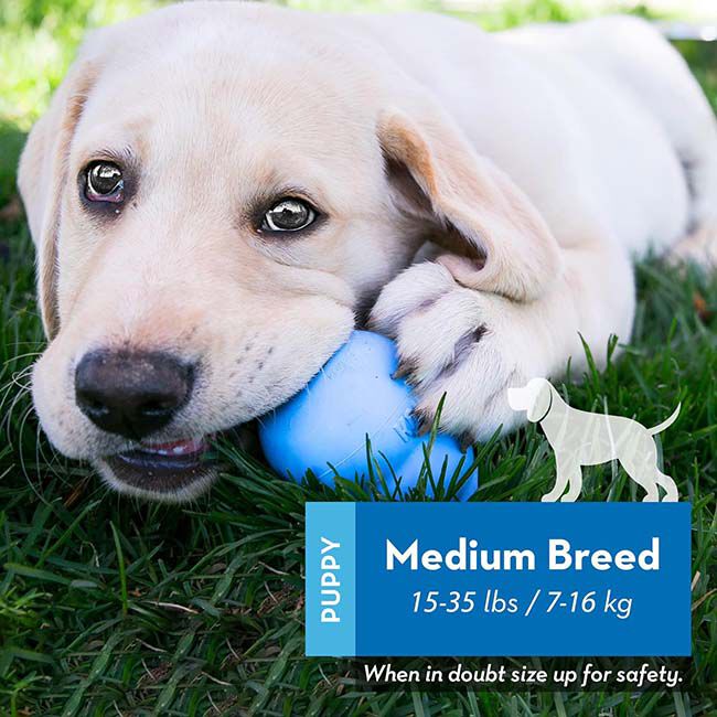 Kong Puppy Dog Toy image number null