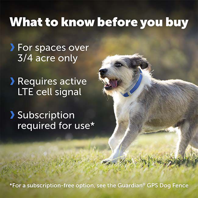 PetSafe Guardian GPS + Tracking Dog Fence Collar image number null
