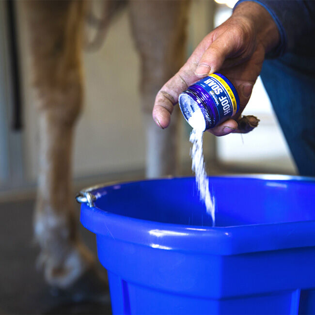 Vetericyn Hoof Soak - 2 Jar Value Pack image number null