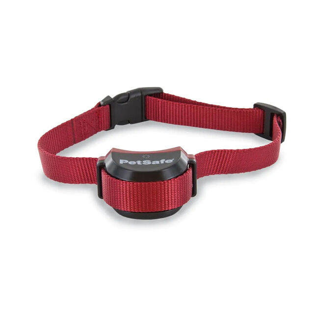 PetSafe Stay & Play Wireless Fence Receiver Collar for Stubborn Dogs image number null