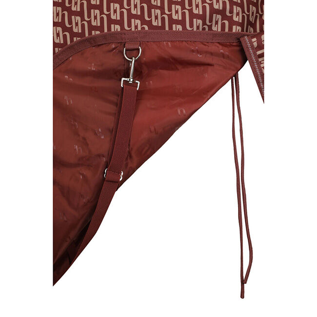 Horze Avalanche Turnout Rug with High Neck (0g) - Smoked Paprika image number null