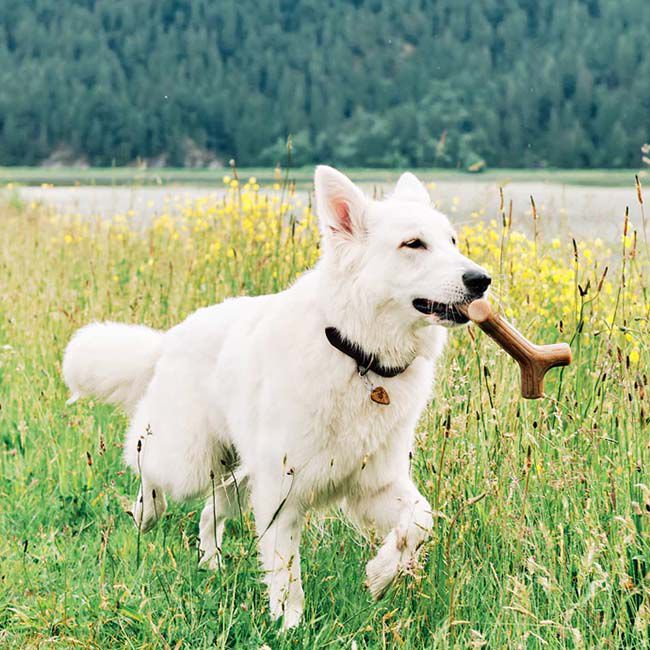 Benebone Bacon Stick image number null