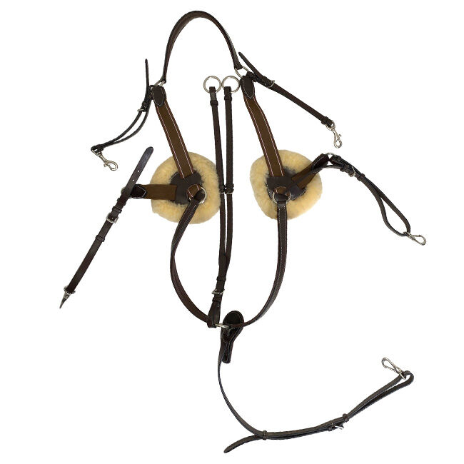 KL Select Black Oak 5-Point Breastplate image number null