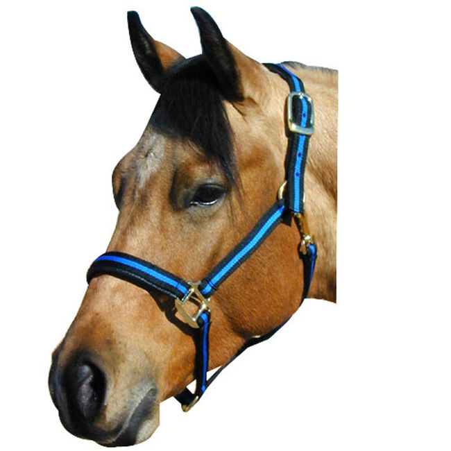 Intrepid No Rub Padded Striped Halter Yearling-Pony Red image number null