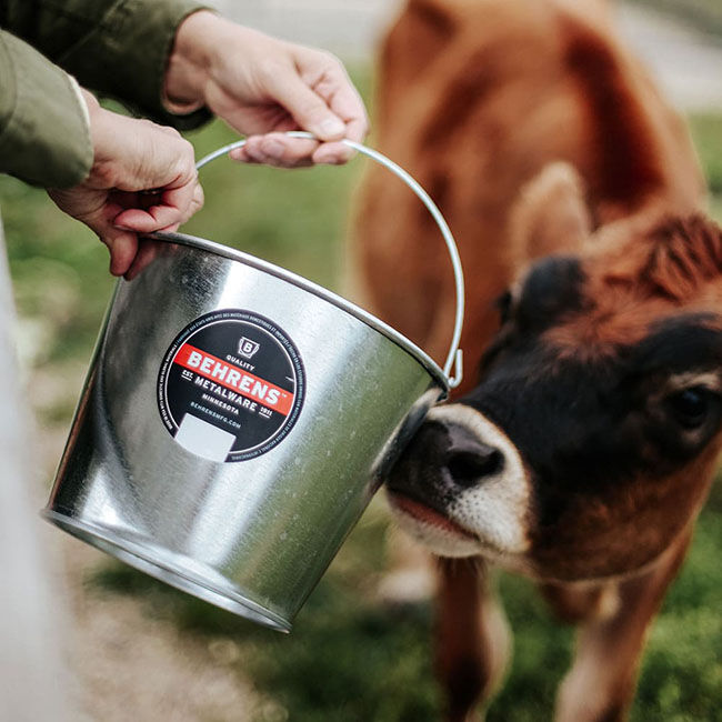 Behrens Galvanized Steel Pail - 5-Quart Capacity image number null