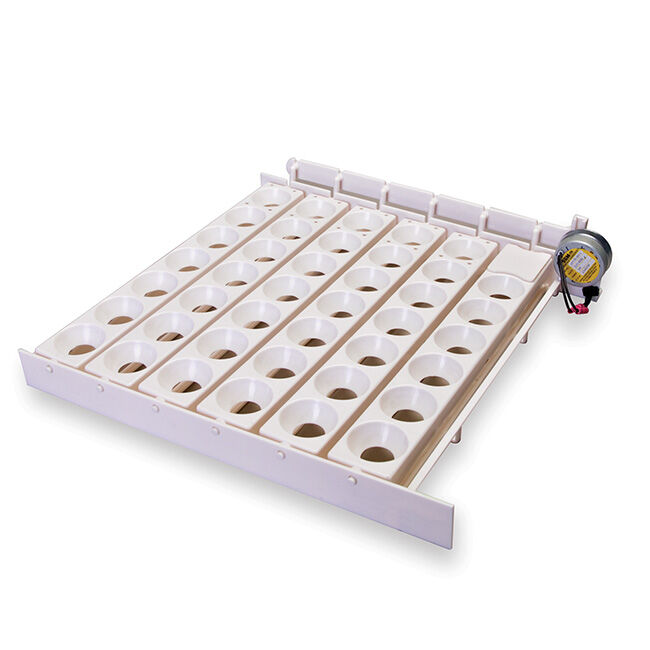 Little Giant Automatic Egg Turner image number null