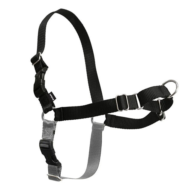 Petsafe easy walk harness size chart top