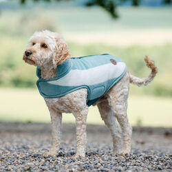 Horseware Newmarket Dog Coat - Witney Dynasty
