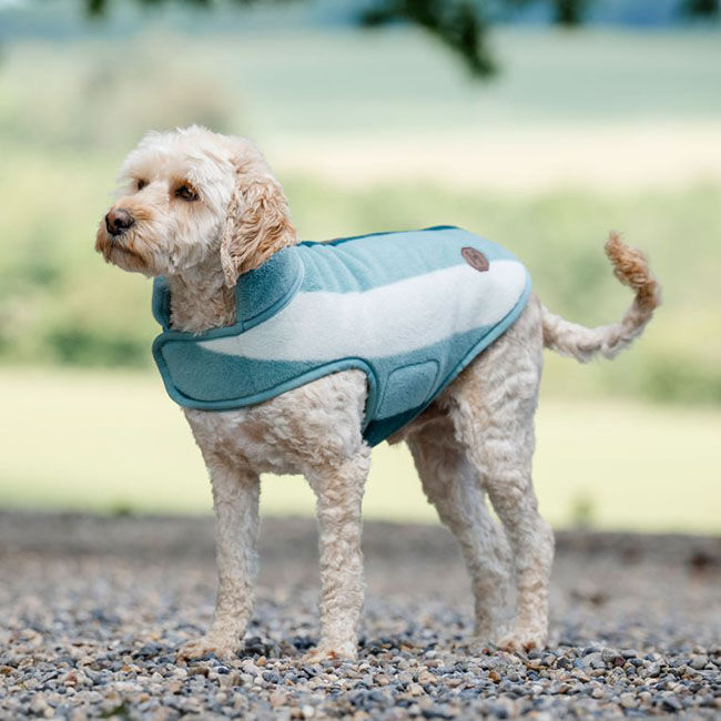 Horseware Newmarket Dog Coat - Witney Dynasty image number null