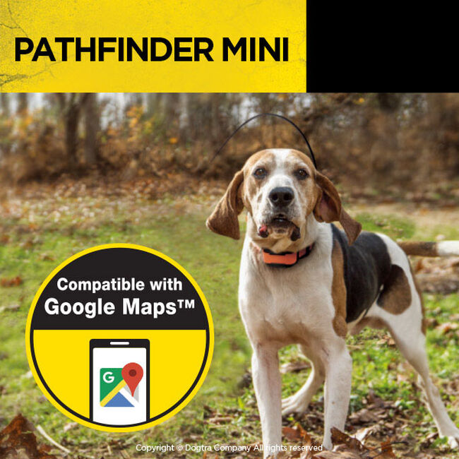 Dogtra Pathfinder Mini GPS Dog Tracker The Cheshire Horse
