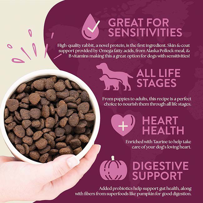 Earthborn Holistic Venture Limited Ingredient Dog Food - Rabbit Meal & Pumpkin Recipe image number null