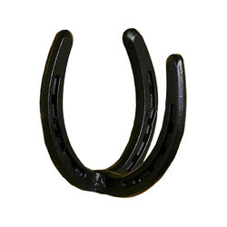 Apple Picker Horseshoe Bridle/Tack Hook
