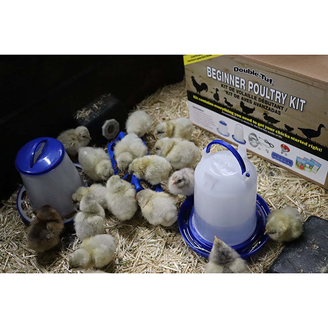 Little Giant Beginner Poultry Kit image number null