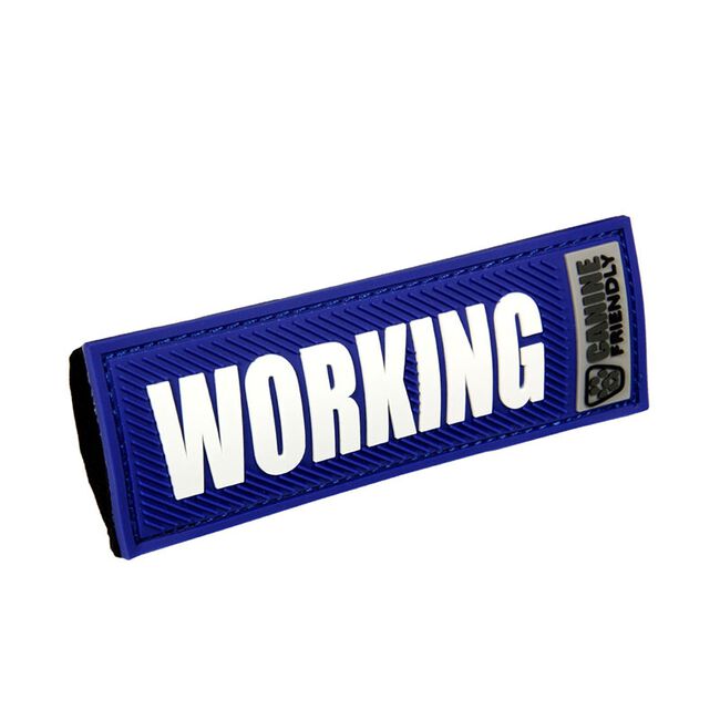 Working image number null