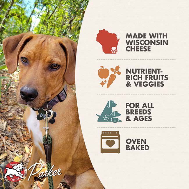 Fromm Four-Star Dog Treats - Parmesan Cheese Recipe - 8 oz image number null